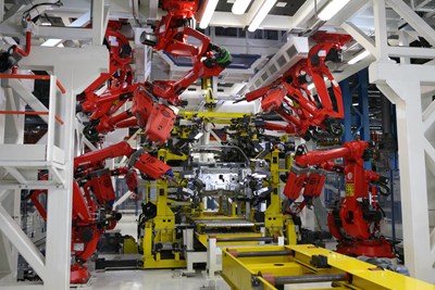 Lastratura_Butterfly_03